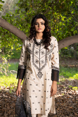 3PC Embroidered Stitched Suit